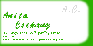 anita csepany business card